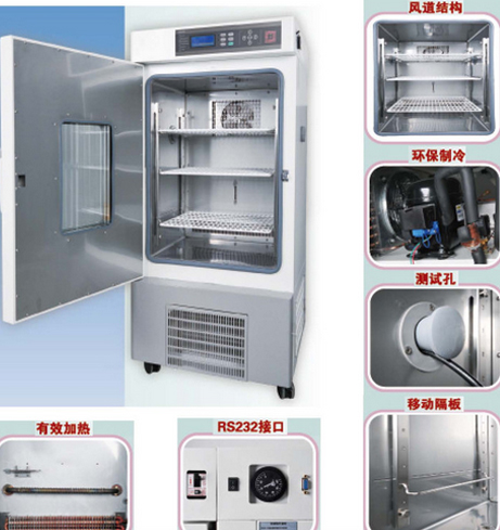 低温培养箱