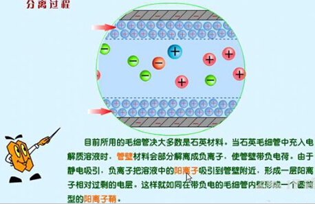 电泳仪分离图