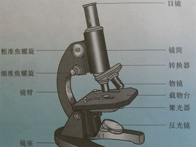 光学显微镜结构图