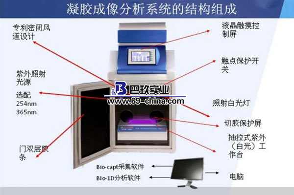 凝胶成像结构组成图