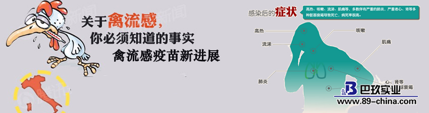 禽流感的示意图