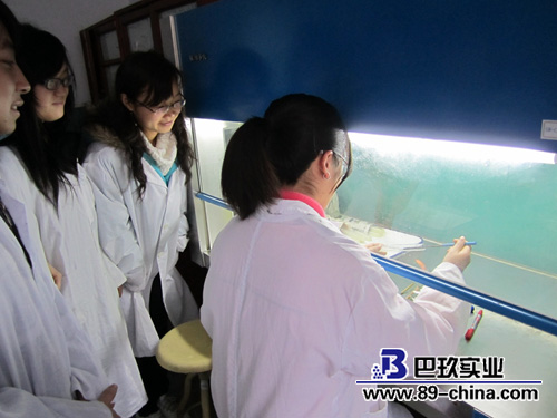 微生物培养箱